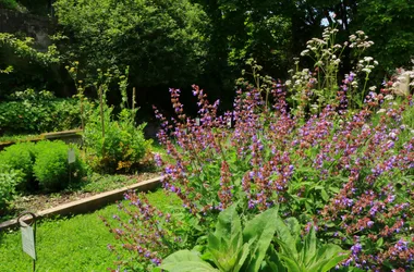 Jardin médiéval