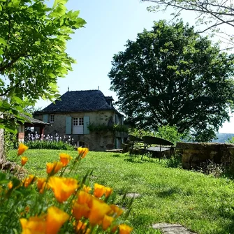 La Forêt souriante – Gîte Albizia