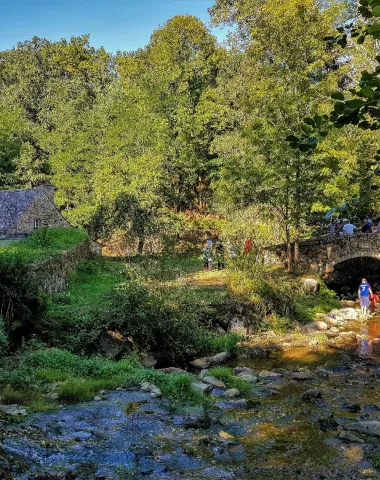 Les Martinets du Lézert à La Bastide l’Evêque