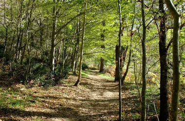 Le Ruisseau de la Mine – Bor-et-Bar