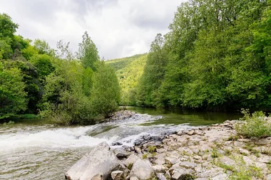 Liberación de truchas - Río Aveyron en Najac