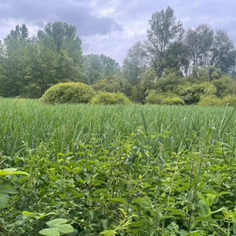 Sentier ENS du Marais de Montaris – Salles Courbatiès