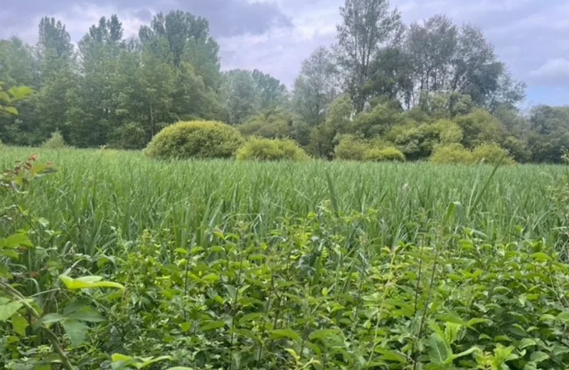 Sentier ENS du Marais de Montaris – Salles Courbatiès