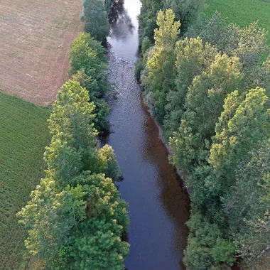 Forellenauswilderungen – Fluss Aveyron an der Plaine du Pesquié in der Nähe von Villefranche-de-Rouergue