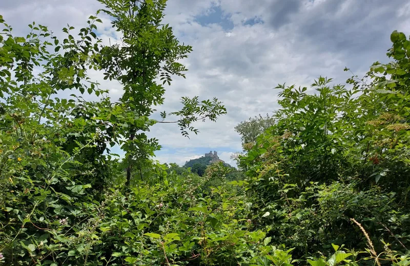 Vallée de la Jouyre, variante autour de Najac