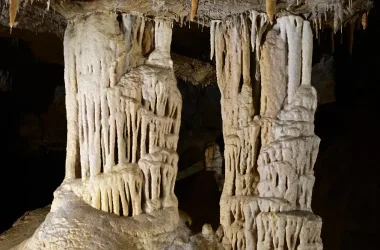 Grotte Préhistorique de Foissac (groupes)