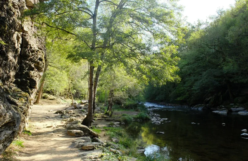 Site naturel du Roc du Gorb