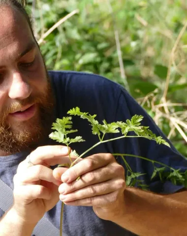 Les jardins de l’instant végétal : cueillette de fleurs sauvages