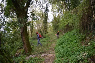 Matinée citoyenne – Entretien des chemins et du village