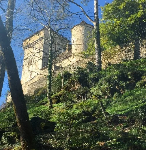 Château de Ginals