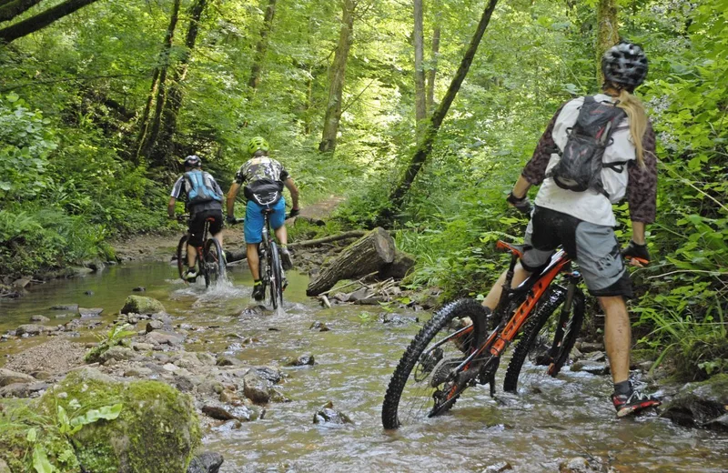 Circuit Sportif noir n°5 – VTT noir Sur le plateau vers Villevayre et vallée de la Jouyre – Najac