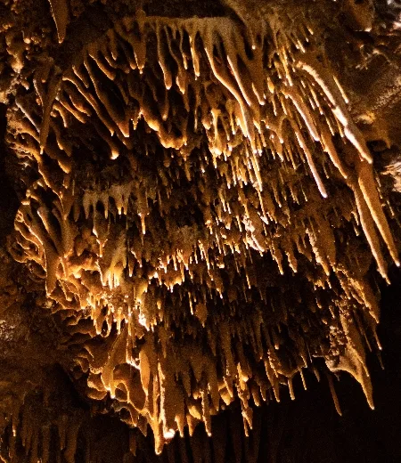 Grotte du Bosc