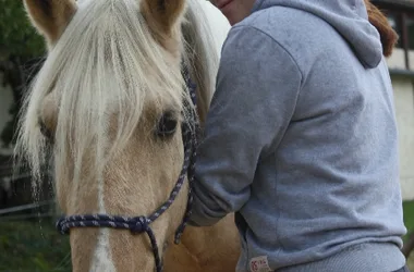 Fattoria equestre di Saint Gauzy: Pony Club ed Equitherapy