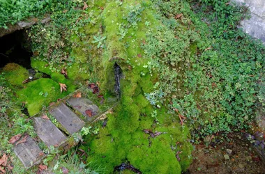 Sentier ENS de la Lande de la Borie – La Rouquette