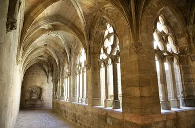 Classica visita guidata alla Certosa di Saint-Sauveur