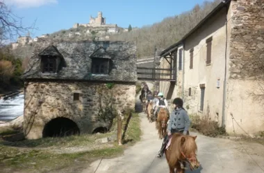 Ferme Équestre de Daoudou : Balade, Randonnée Équestre et Promenade en calèche