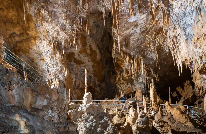 Grotte Préhistorique de Foissac (groupes)