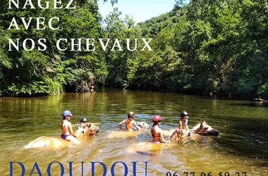 Ferme Équestre de Daoudou : Balade, Randonnée Équestre et Promenade en calèche