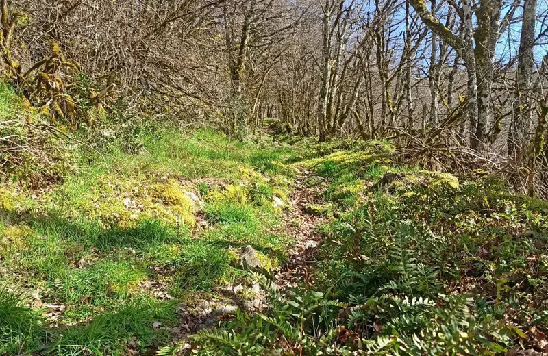 Longcol et sa vallée – La Fouillade