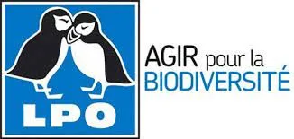 Sortie LPO : Comptage national hivernal des oiseaux des jardins