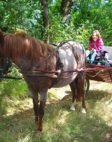 Ferme du Soulié : balades à dos d’ânes ou de poneys