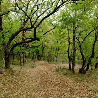 Sentier de Fontaliès-Le Bosc – Monteils