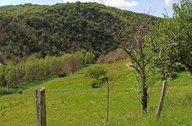 Longcol et sa vallée – La Fouillade