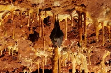 Grotte du Bosc