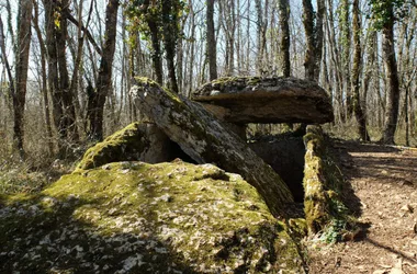 Circuit des dolmens de Martiel (boucle famille)