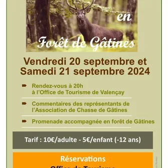 Brame du Cerf en forêt de Gâtines Du 20 au 21 sept 2024