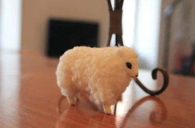 Le petit mouton - mouton - Argenton
