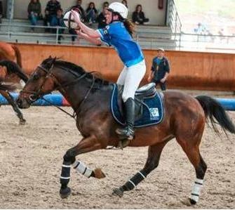 Tournoi de Horse-ball