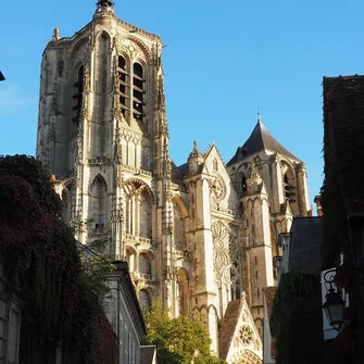 Visite guidée : La Cathédrale Saint Etienne Le 18 mai 2024