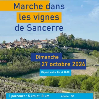 Marche dans les vignes de Sancerre