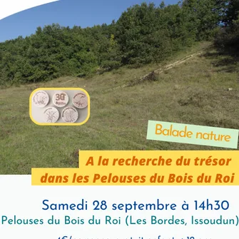 A la recherche du trésor caché au Bois du Roi