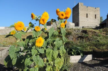 Le Fort Vauban de Seyne