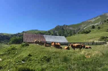 La Cabane des mulets n°15