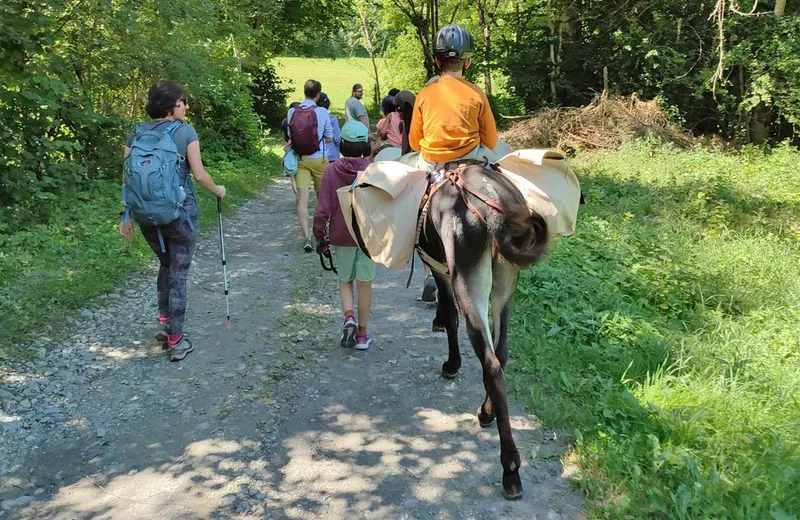 Balade de Montclar à La Bréole avec Tis’ânes