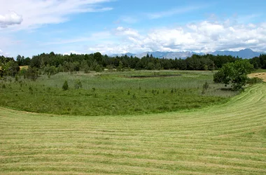 Le Lac de Saint-Léger