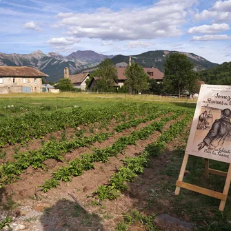 Les Jeudis animés de la Maison du Mulet : « Faites des patates »