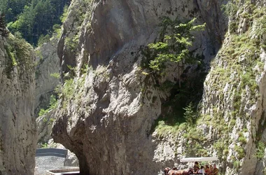 Balade en calèche dans les Clues de Barles