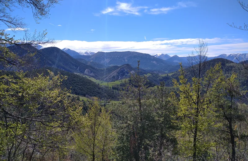 Tour de la colline du château – Très facile – 6km