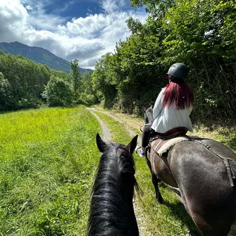 Balade à cheval au coucher du soleil