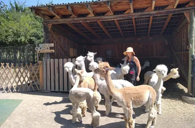 Ferme Au Doux Mélèze