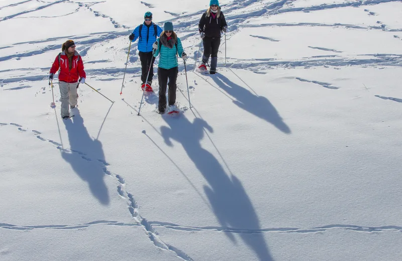 La Forestière – Très facile 2,5km