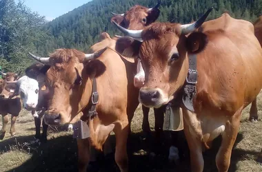 La Ferme des Montclarines