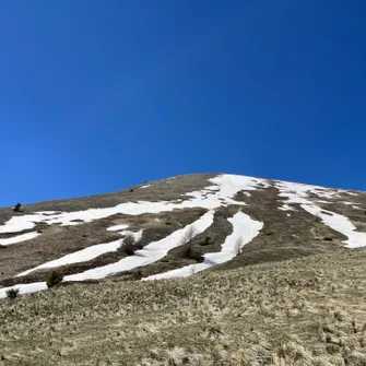 Trail N° 8 : KMV Le Blayeul – Très difficile – 4,6km