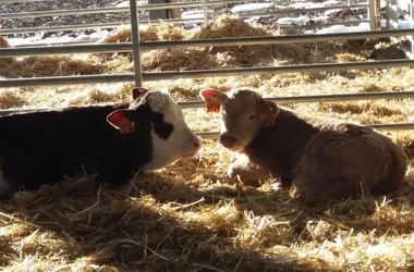 La Ferme des Montclarines