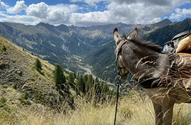 10 jours sur le GR®69 La Routo avec des ânes, entre les vallées de la Blanche et de la Stura
