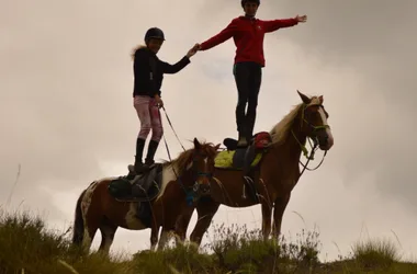 Ferme équestre Les Chevaux de Roquépine